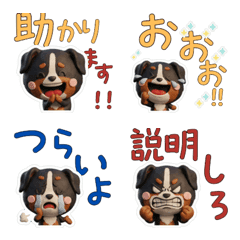 3D สุนัขเบอร์นีส เมาน์เทนด็อก 27