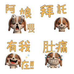 สุนัขบาสเซ็ต ฮาวด์ ไต้หวัน 39