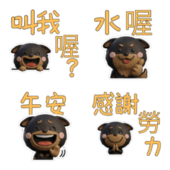 Taiwanese Doberman 39