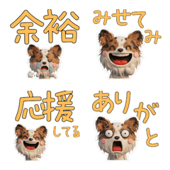 3D สุนัขปาปิยอง 27