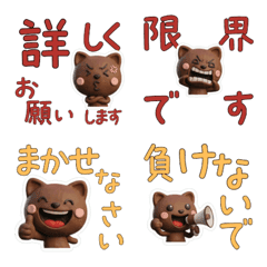 แมวเบอร์มีส สุภาพ 29