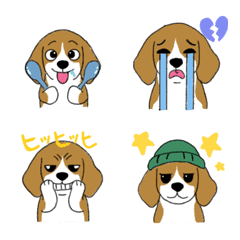 Happy beagle 01