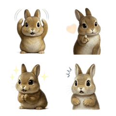 可愛い! ネザーランド・ドワーフ 絵文字 1