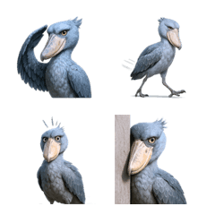 น่ารัก! อีโมจินกชูบิลล์ 1