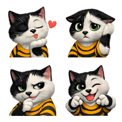 แมวขาวดำอารมณ์ประจำวัน