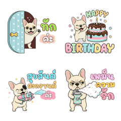 Funny Frenchie Daily Life