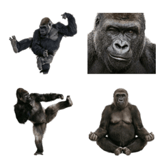 Gorilla (Realistic)