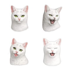 White cat ume Emoji