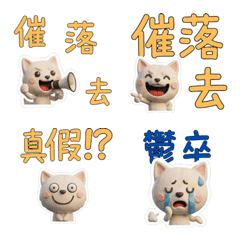 Taiwanese Kishu Ken 39