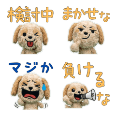 ตุ๊กตาค็อกคาพู 9th