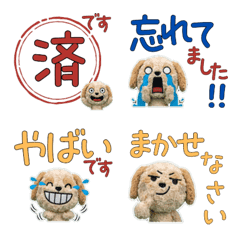 ค็อกคาพู คำสุภาพ 11