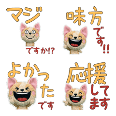 คอร์นิช เร็กซ์ สุภาพ ขยับได้ 12