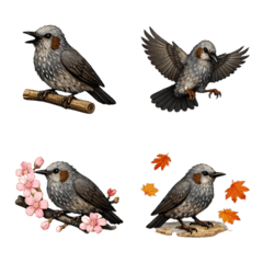 Bulbul-de-orelha-marrom