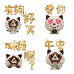 Moving Taiwanese Snowshoe 34