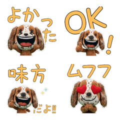 Moving Plush Setter 10