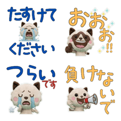 Moving Polite Snowshoe 12