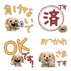 Animated Polite Cockapoo 12