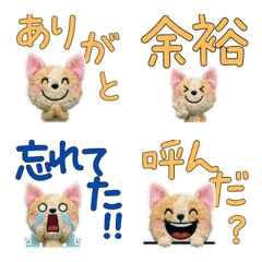 Plush Cornish Rex 9th