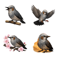 Cucak Telinga Cokelat 3D