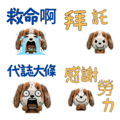 Moving Taiwanese Setter 34