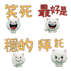 Moving Taiwanese Turkish Angora 34