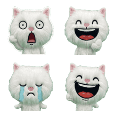 Moving Turkish Angora 8th