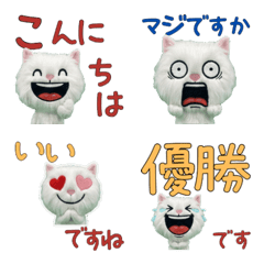 Moving Polite Turkish Angora 12