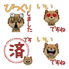 Moving Polite Chiwax 12