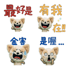 Moving Taiwanese Chiwapoo 34