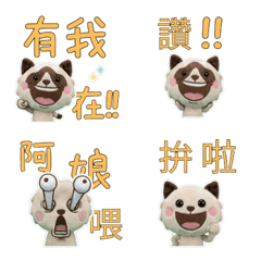 แมวสโนว์ชูภาษาไต้หวัน 33