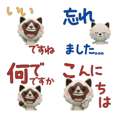 แมวสโนว์ชูสุภาพ 11