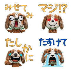 ตุ๊กตาสุนัขเซตเตอร์ 9th