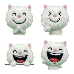 Plush Turkish Angora 7th