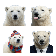 อีโมจิหมีขั้วโลกแบบสมจริง (Photo-style)