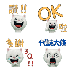 Taiwanese Turkish Angora 33