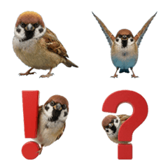 อีโมจินกกระจอกแบบสมจริง (House sparrow)