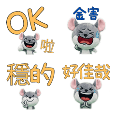 Moving Taiwanese Chinchilla 34