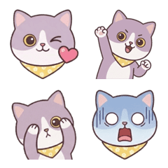 天天實用！丁香灰貓表情貼