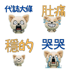 ชิวาวาผสมพุดเดิ้ลไต้หวัน 33