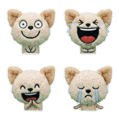 ตุ๊กตาชิวาวาผสมพุดเดิ้ล 7th