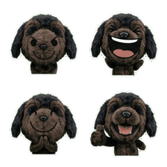 Plush Newfoundland 7th