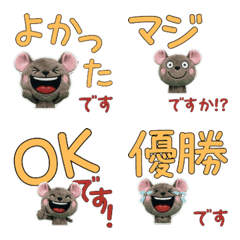 Moving Polite Degu 12