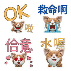 Moving Taiwanese Devon Rex 34