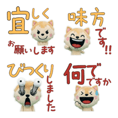 คำสุภาพ ปักกิ่ง 11