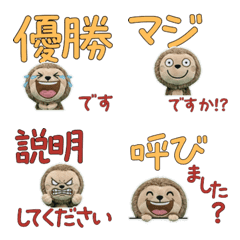 Moving Polite Sloth 12