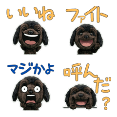 Moving Plush Newfoundland 10