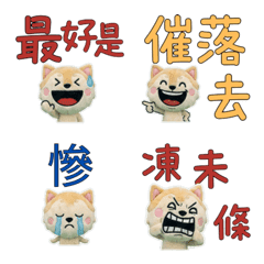 Taiwanese Pekingese 33