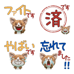 Moving Polite Devon Rex 12