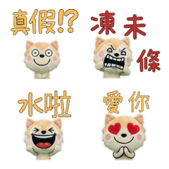 Moving Taiwanese Pekingese 34