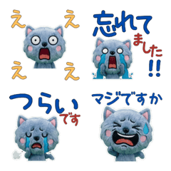 Moving Polite Nebelung 12